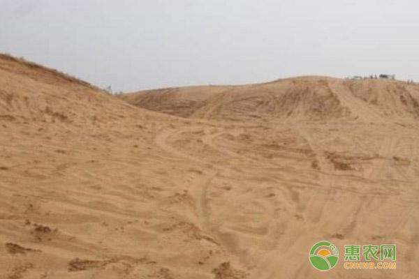 沙子价格多少钱一吨_沙子价格多少钱_2021沙子价格